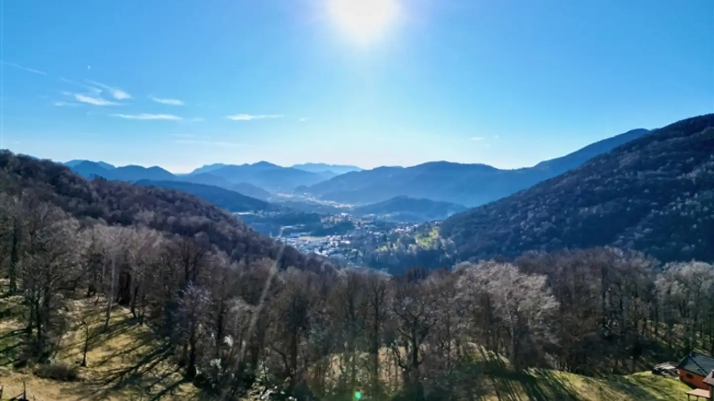 Einfamilienhaus kaufen - 6956 Lopagno - Foto 3