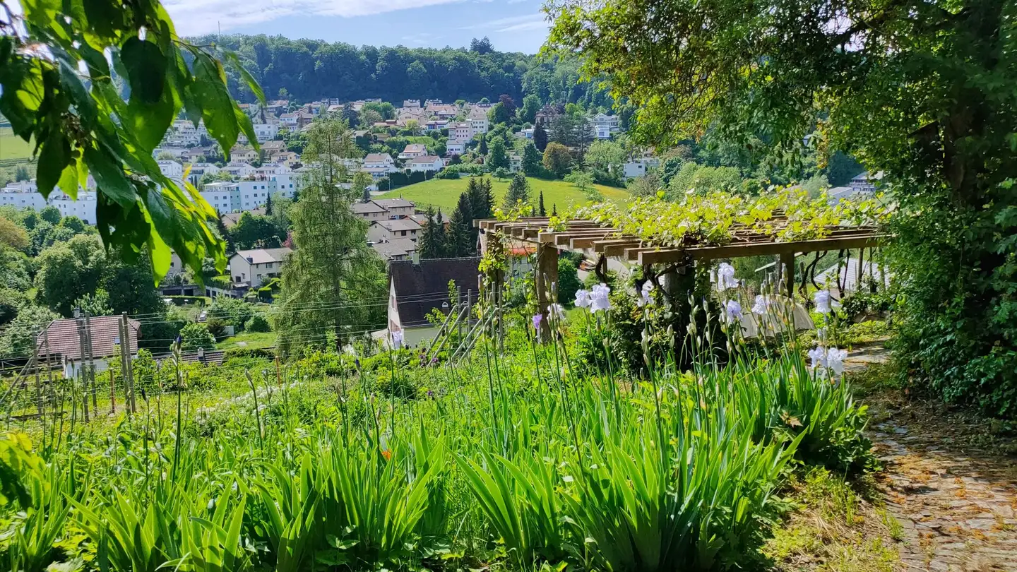 Villa in vendita - 8200 Schaffhausen - Photo 3