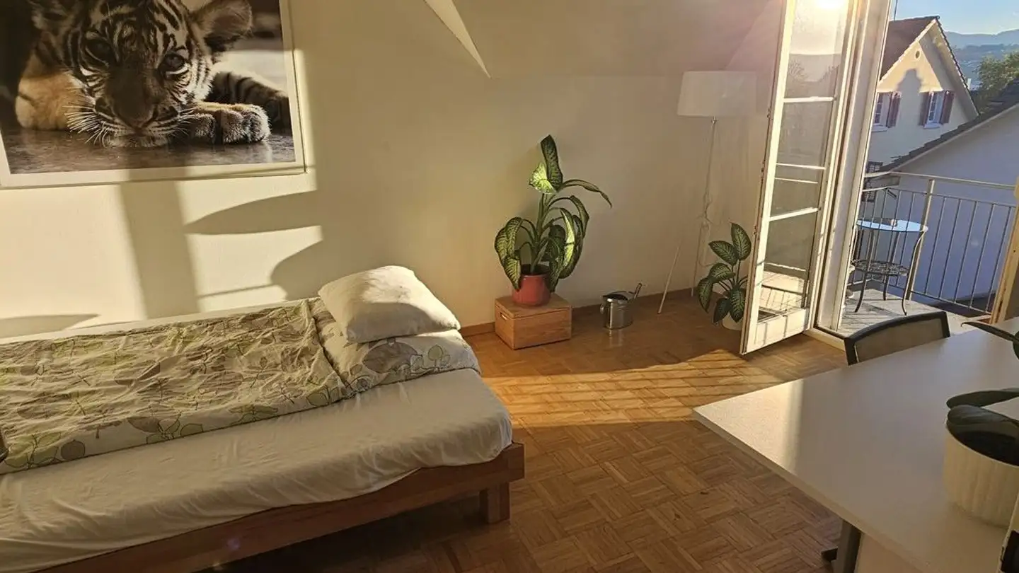 Appartamento in affitto - Schreinerweg 5, 8708 Männedorf - Foto 3