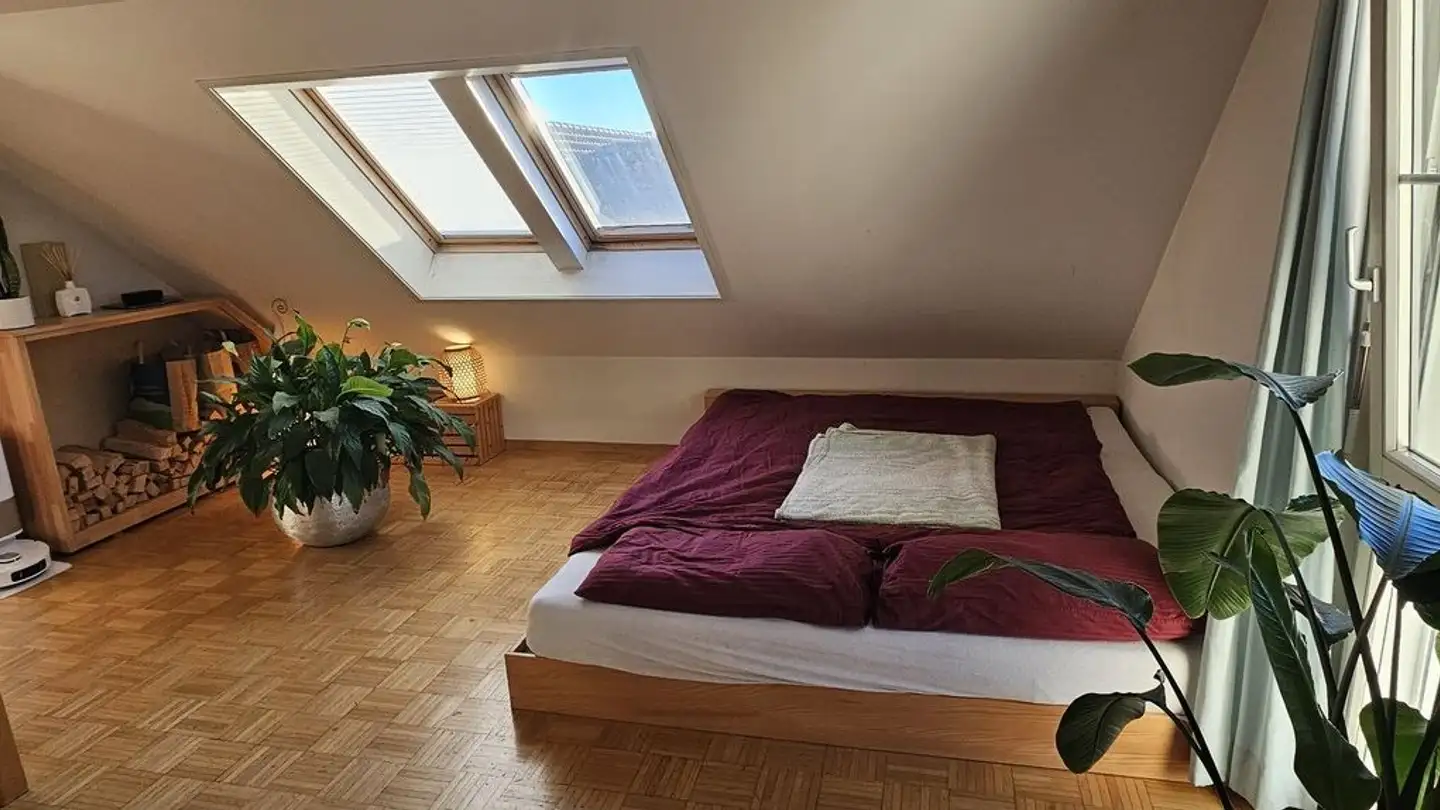 Appartamento in affitto - Schreinerweg 5, 8708 Männedorf - Foto 4