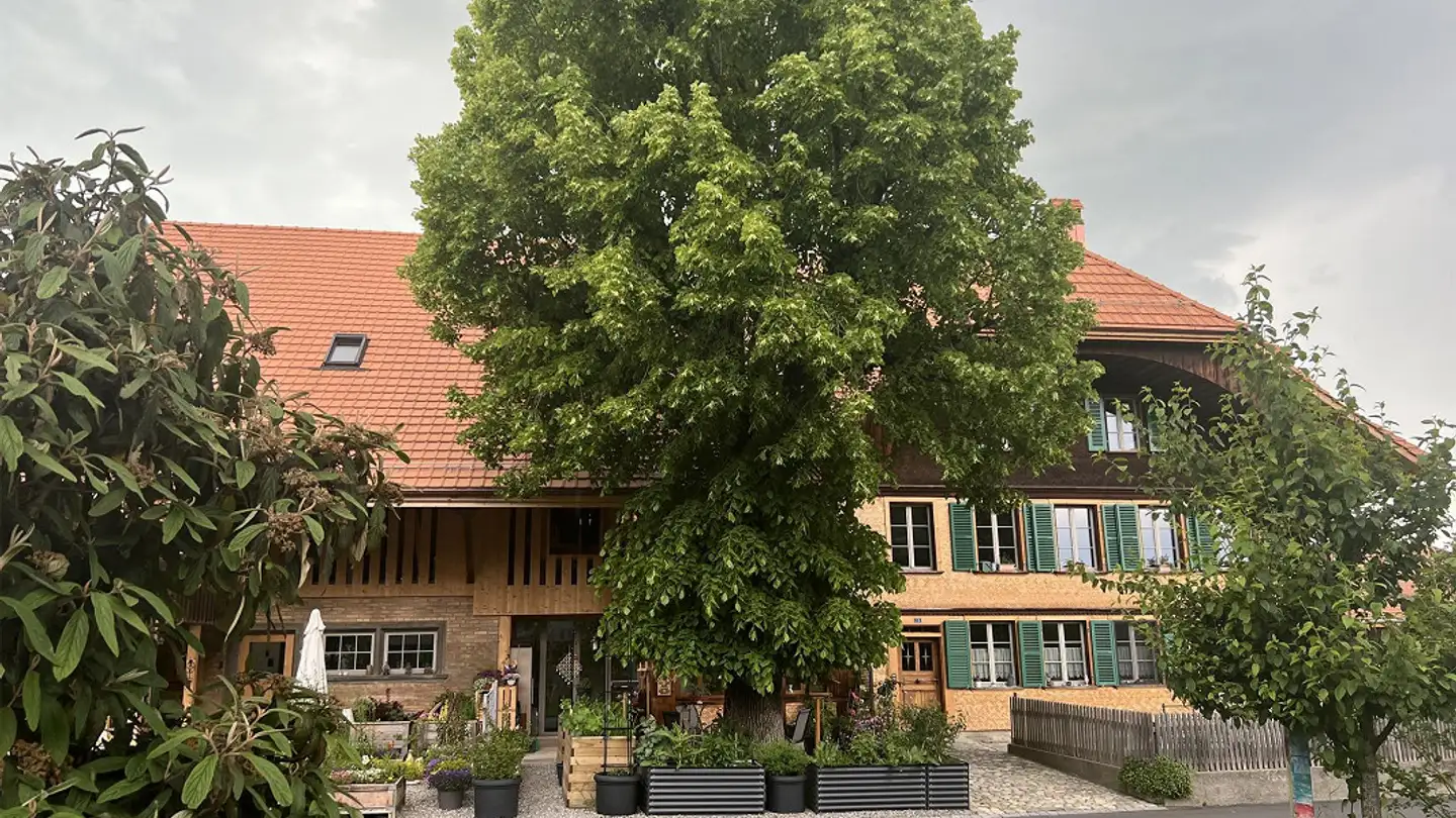 Appartement à vendre - Schlossgasse 10, 3150 Schwarzenburg