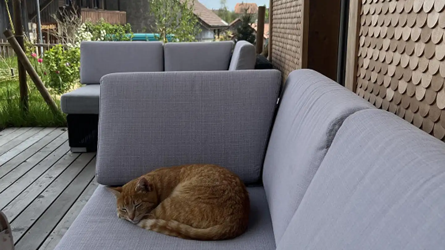 Appartement à vendre - Schlossgasse 10, 3150 Schwarzenburg - Photo 2