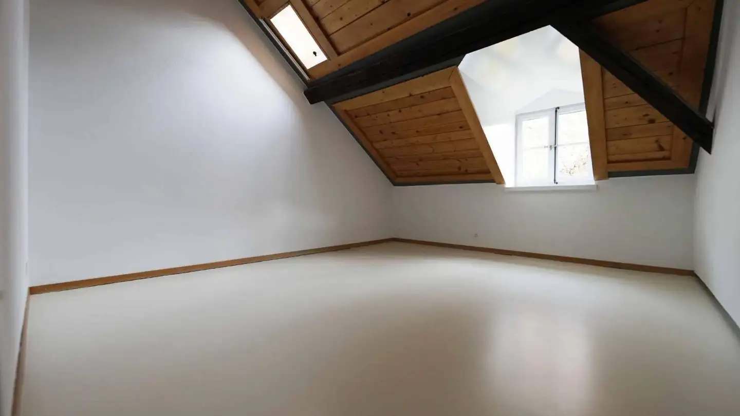 Attique à louer - Rue Vautier 9, 1227 Carouge GE - Photo 4