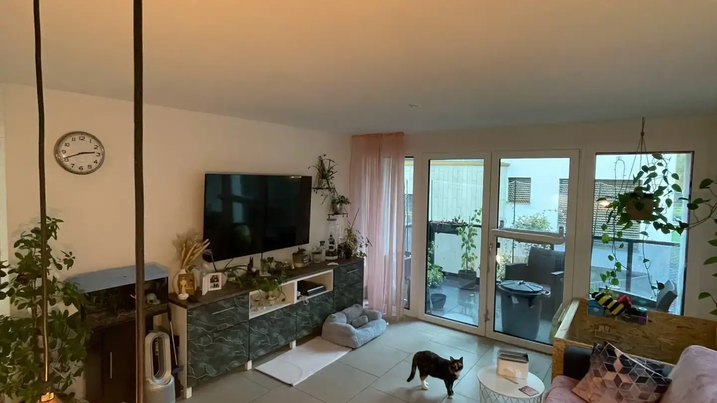 Apartment for rent - 8620 Wetzikon ZH - Photo 2