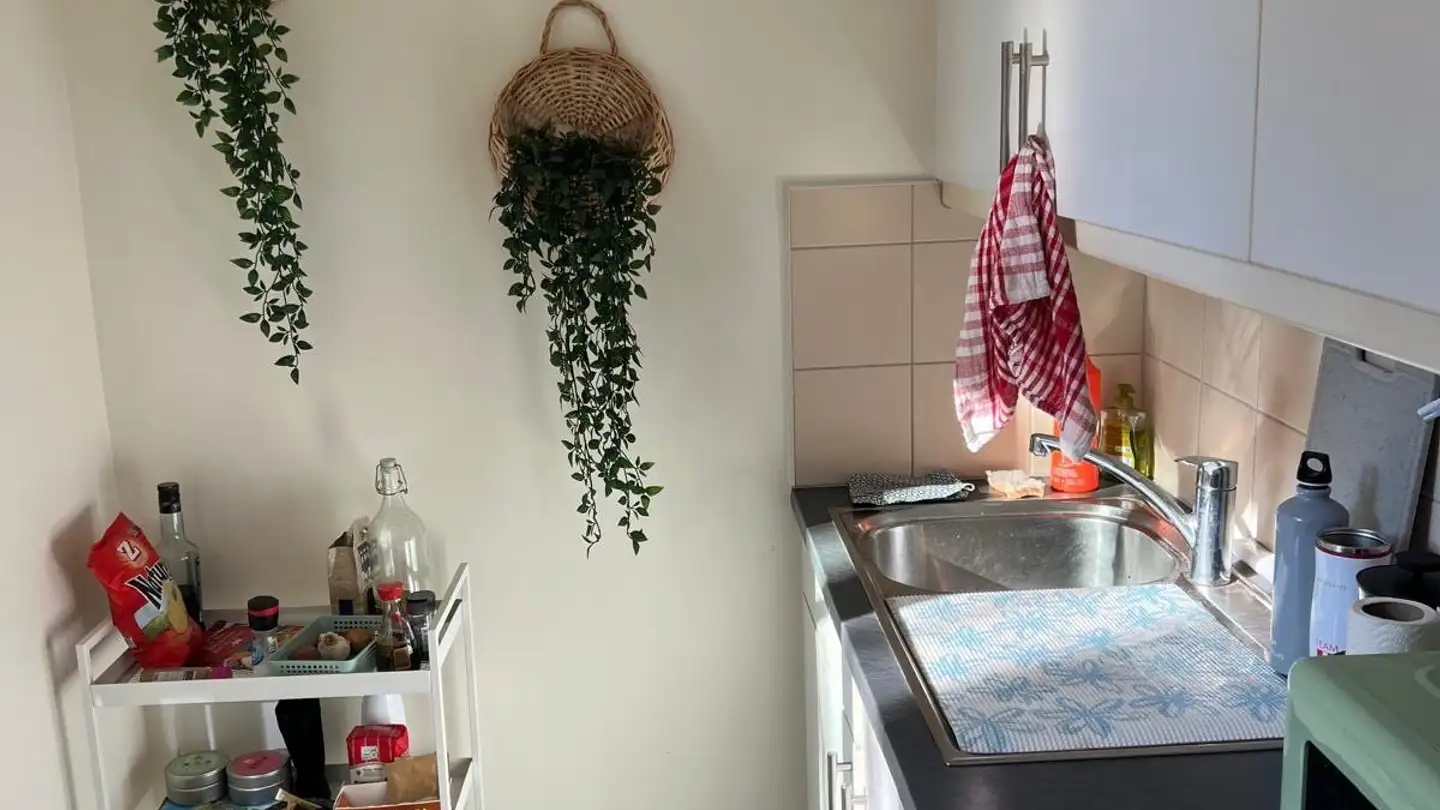 Appartamento in affitto - Rue Vautier 20, 1227 Carouge GE - Foto 3