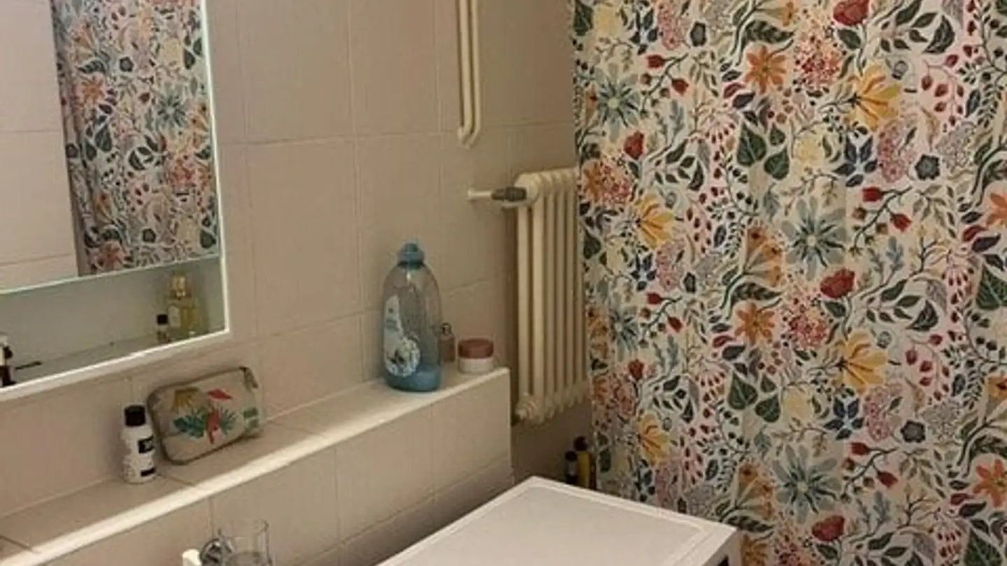 Appartamento in affitto - Rue Vautier 20, 1227 Carouge GE - Foto 4