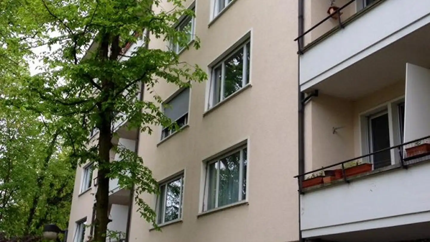 Appartement à louer - Neubadrain 18, 4102 Binningen