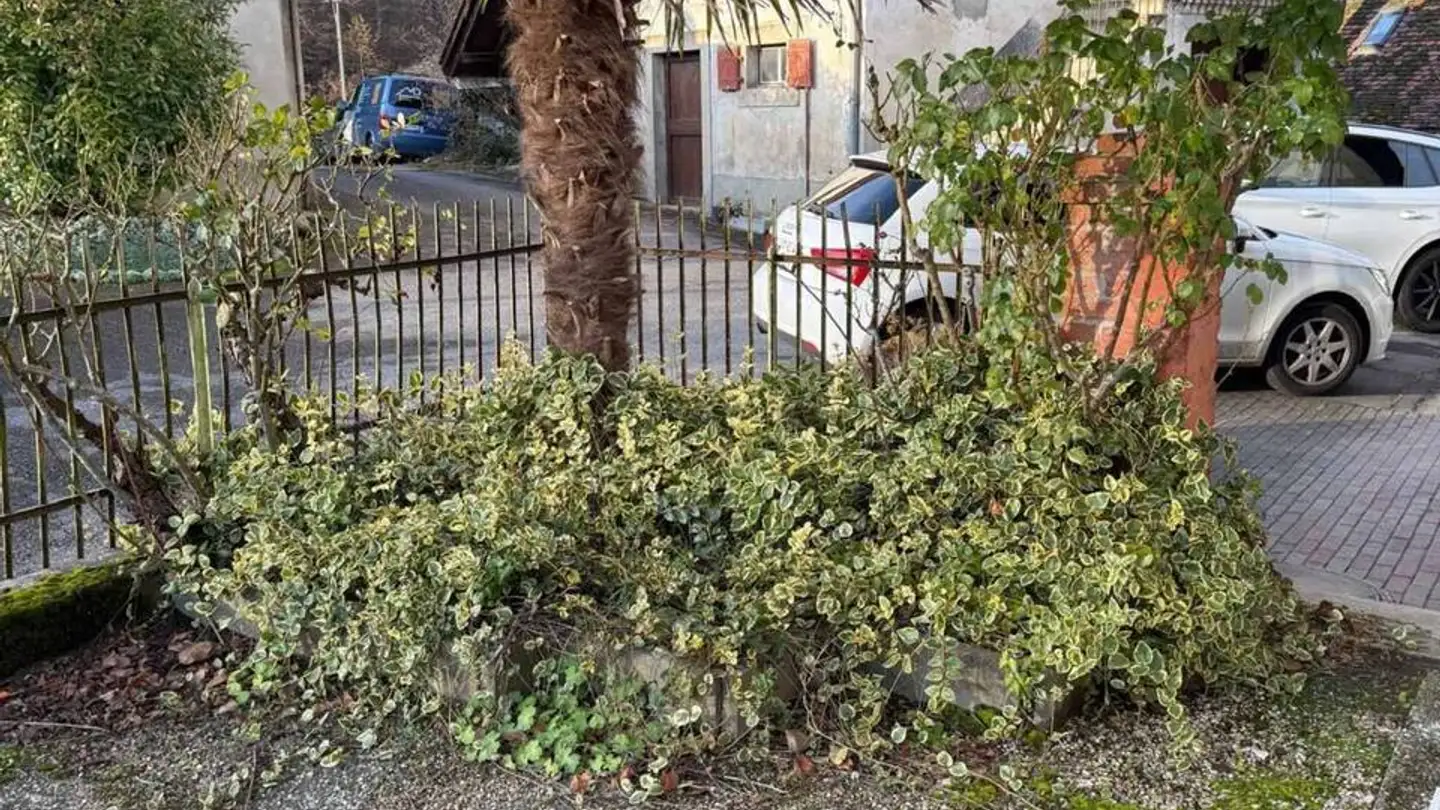 Casa grotta in affitto - 1462 Yvonand - Foto 4