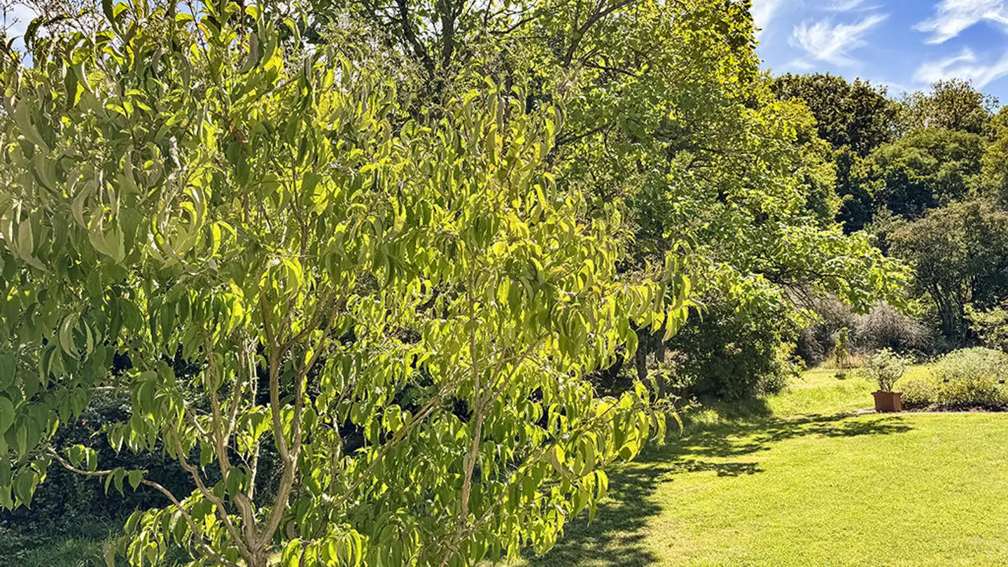 Bauernhof kaufen - 1066 Epalinges - Foto 3