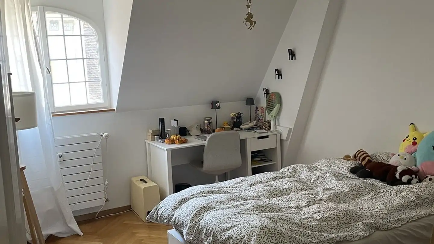 Chambre à louer - Freie Strasse 15, 4001 Basel