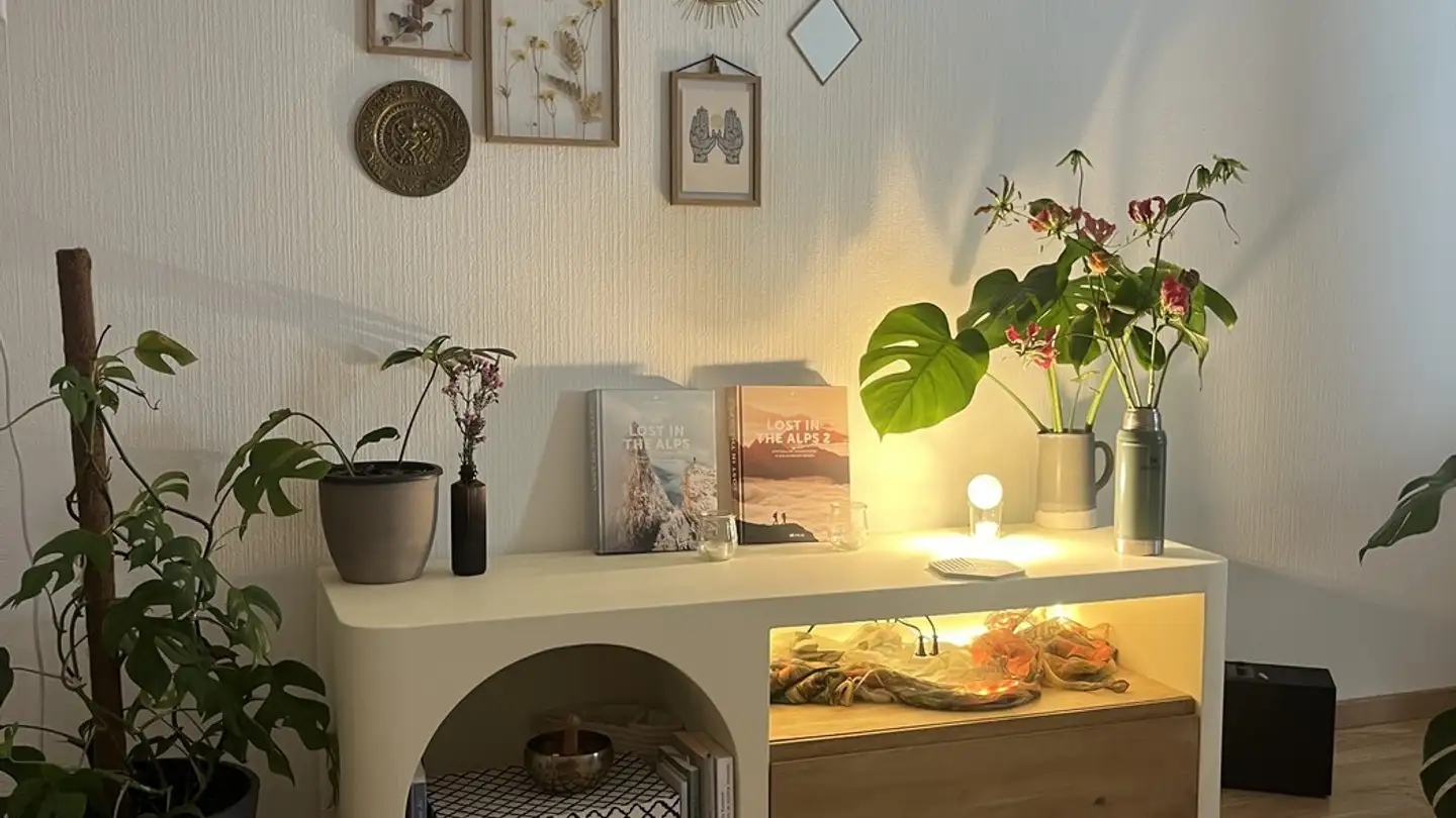 Furnished apartment for rent - 8055 Zürich