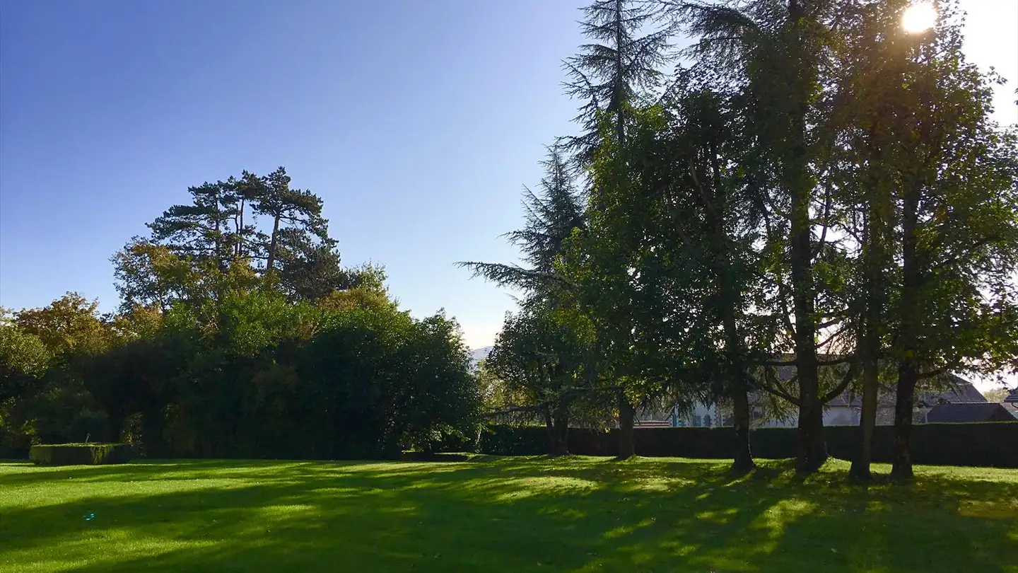 Appartamento ammobiliato in affitto - 1296 Coppet - Foto 4