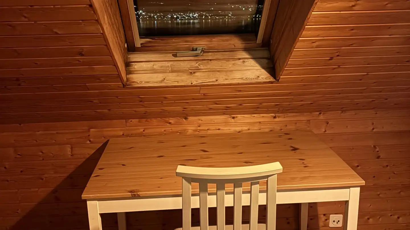 Furnished apartment for rent - 8810 Horgen