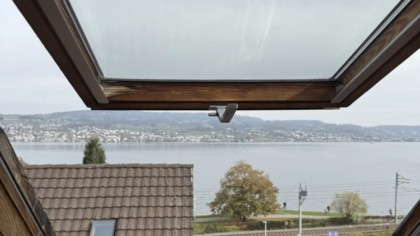 Furnished apartment for rent - 8810 Horgen - Photo 2