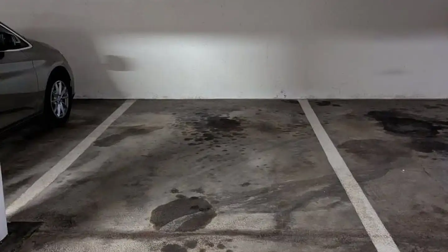 Garage individuel à louer - Käshaldenstrasse 5, 8052 Zürich