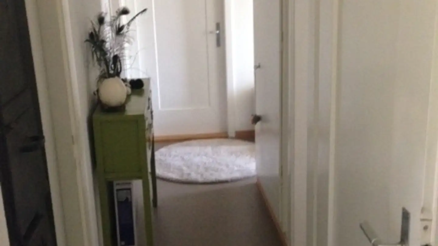 Wohnung mieten - Solitüdenstrasse 14, 9012 St. Gallen - Foto 2