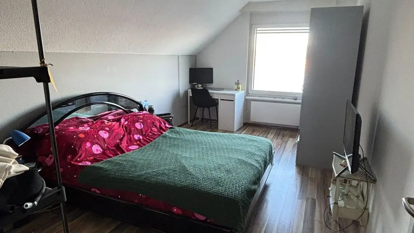Single room for rent - Kummrütistrasse 56, 8810 Horgen