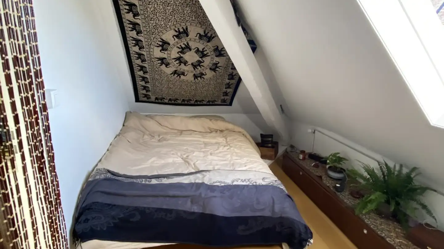 Möblierte Wohnung mieten - Hochfeldstrasse 3, 3012 Bern - Foto 3