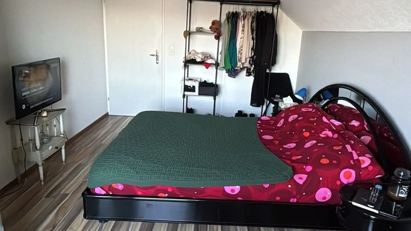 Single room for rent - Kummrütistrasse 56, 8810 Horgen - Photo 3