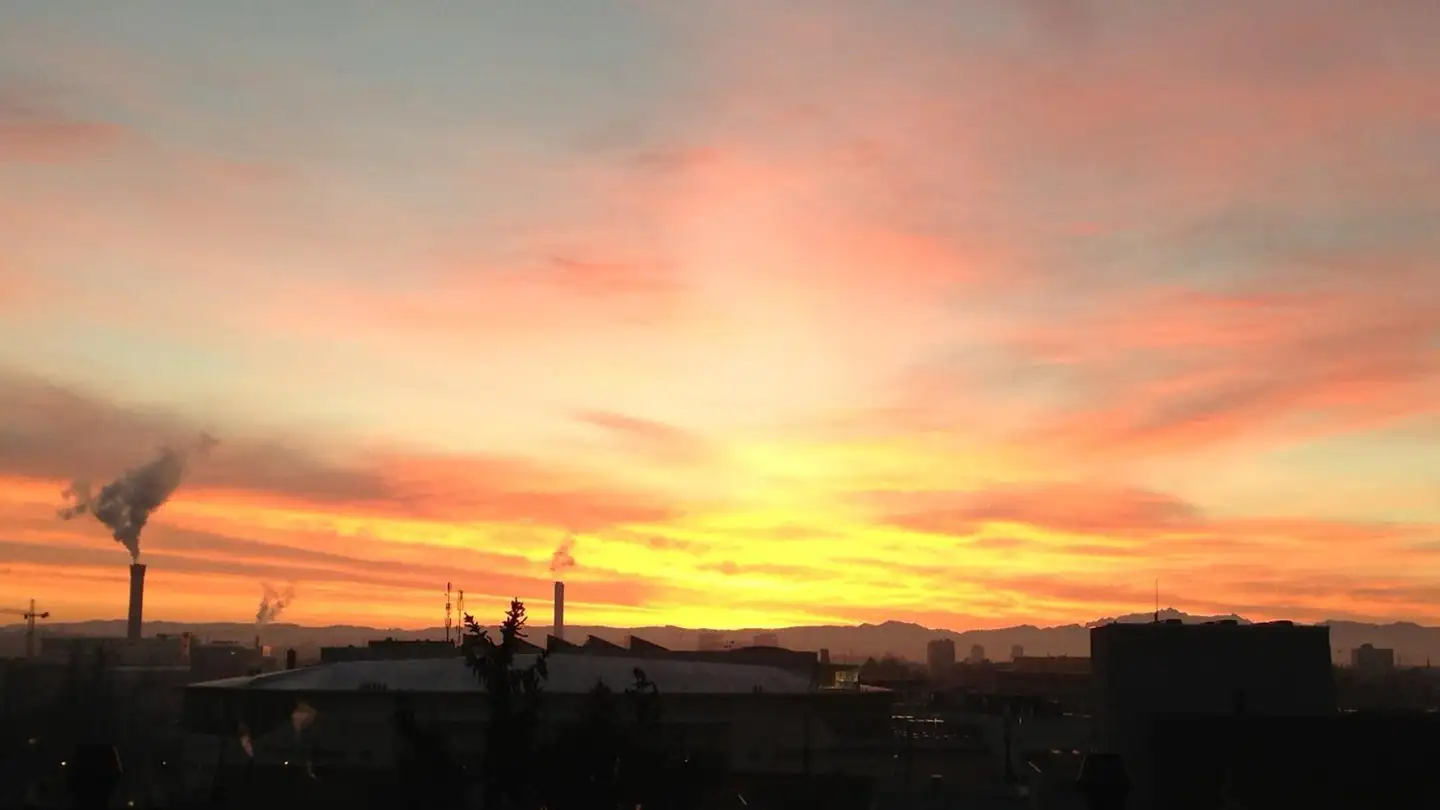 Chambre à louer - 8050 Zürich - Photo 4