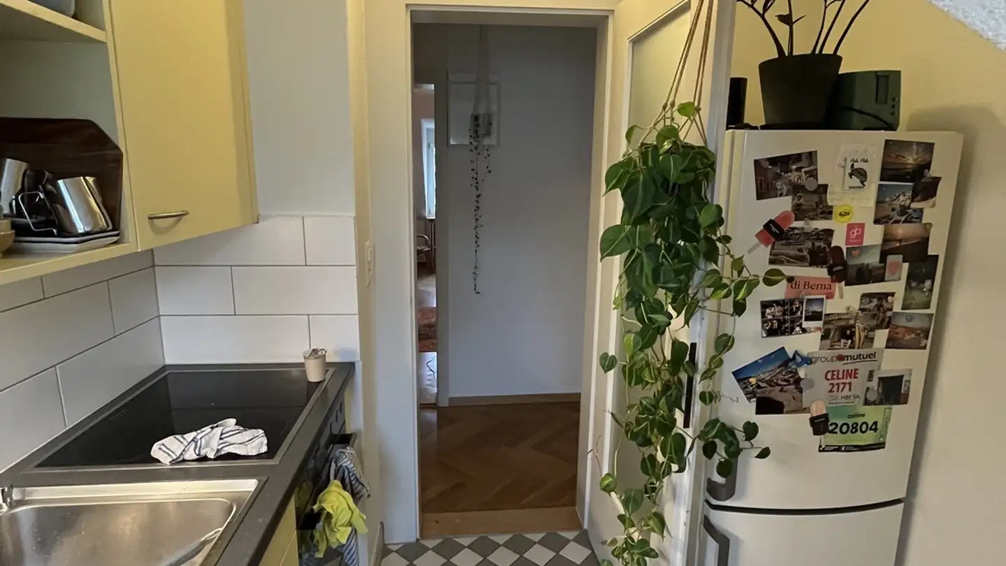 Appartamento in affitto - Schaffhauserstrasse 440, 8050 Zürich - Foto 2