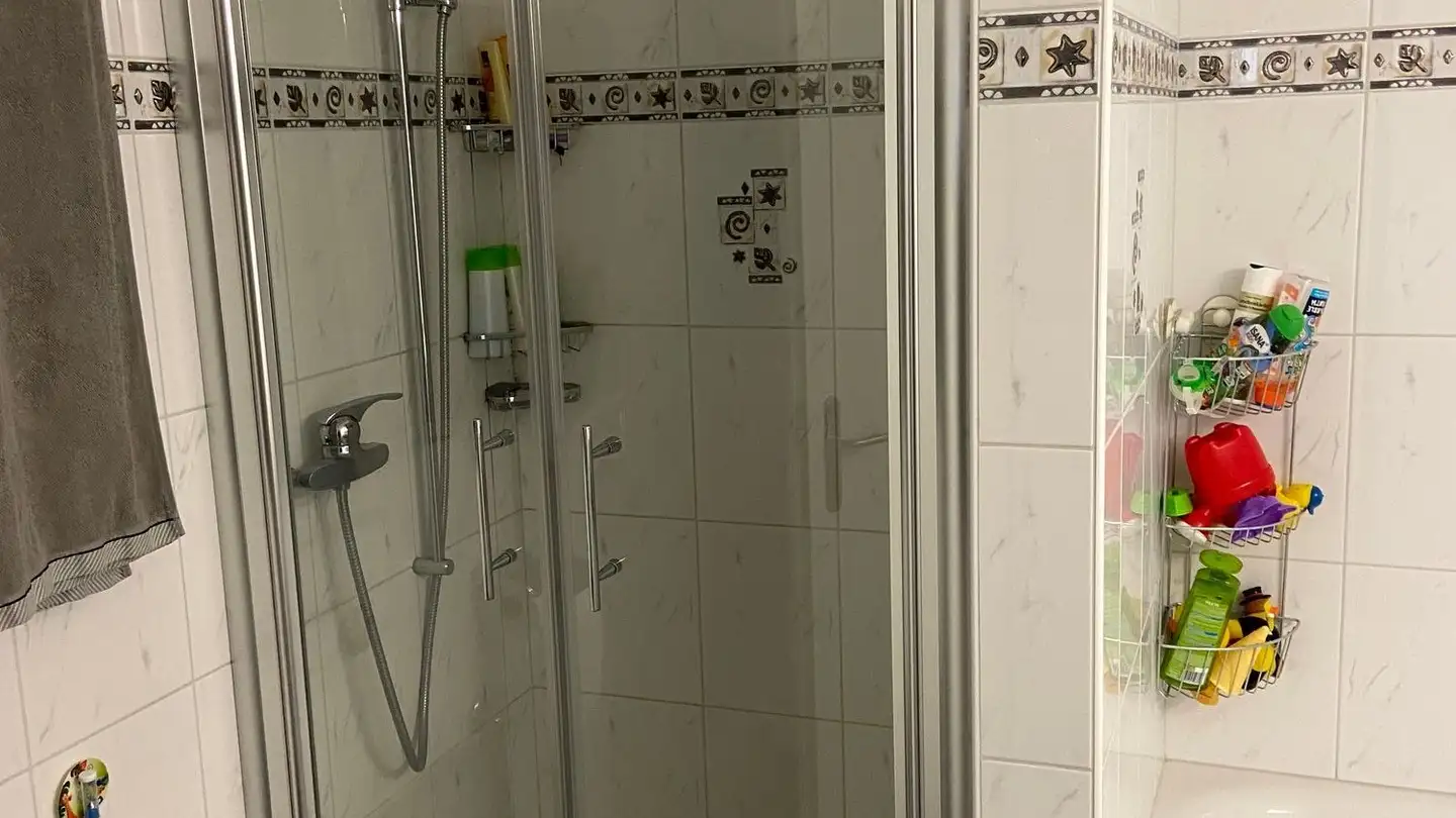 Appartamento in affitto - Schwerzenbachstrasse 11, 8405 Winterthur - Foto 4