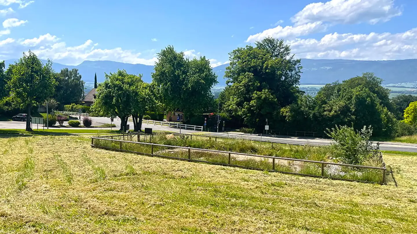 Casa a schiera in vendita - 1400 Cheseaux-Noréaz