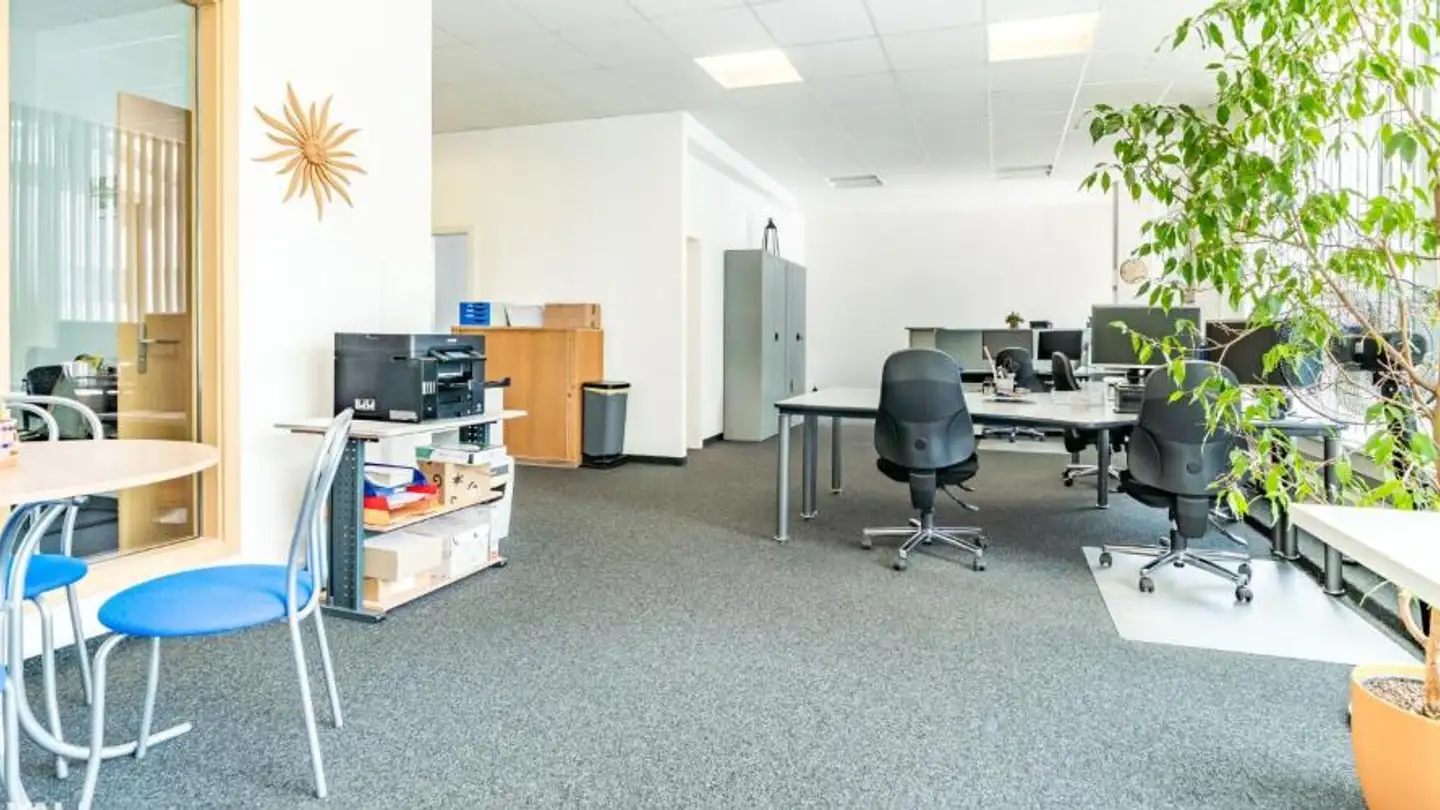 Commerciale in affitto - Neue Strasse, 3940 Steg VS - Foto 4