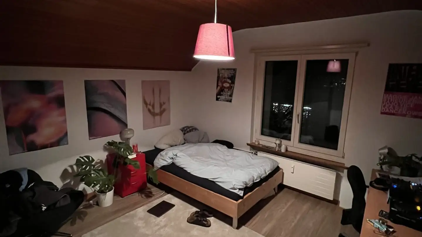 Chambre à louer - 8102 Oberengstringen