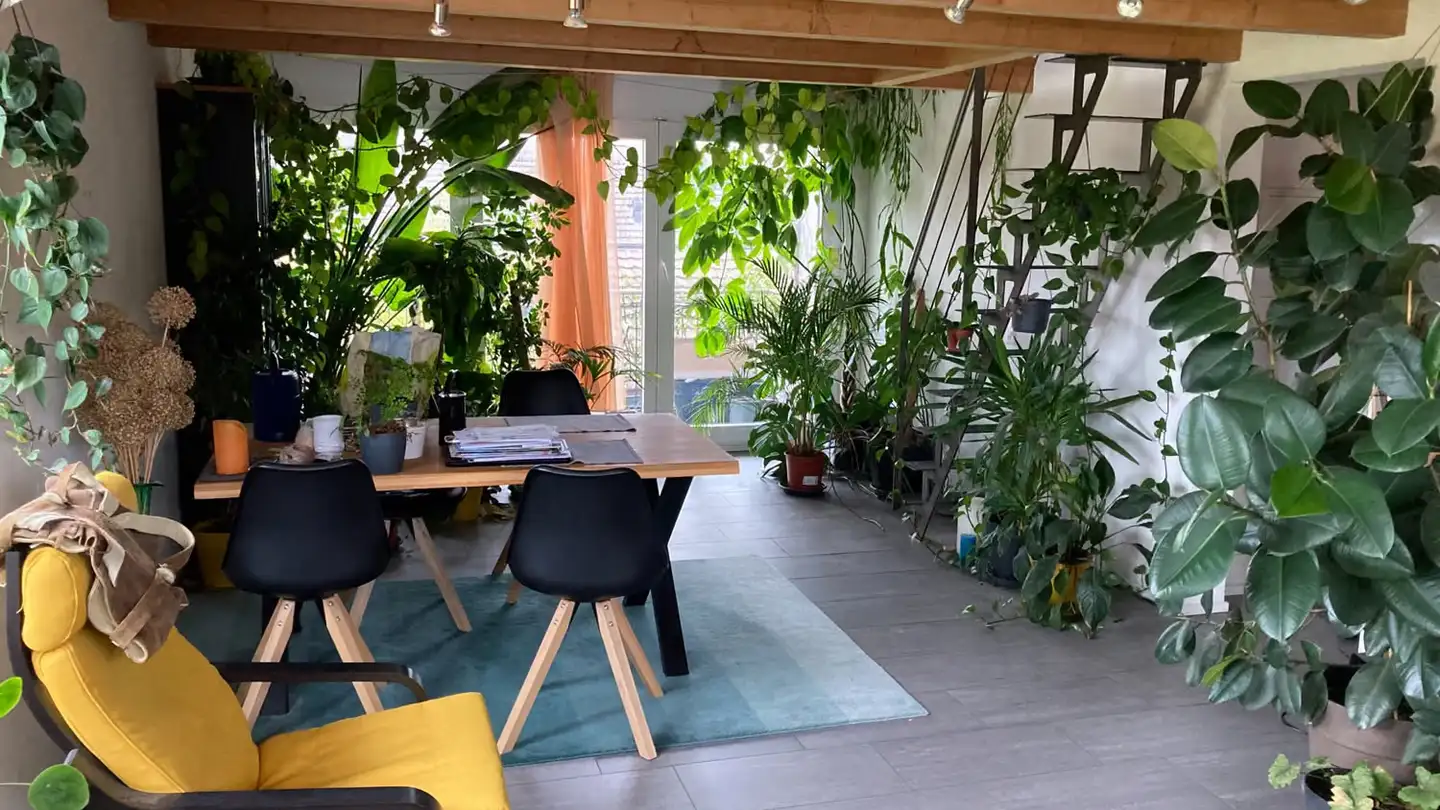 Apartment for rent - Neuenburgstrasse 40, 3206 Rizenbach