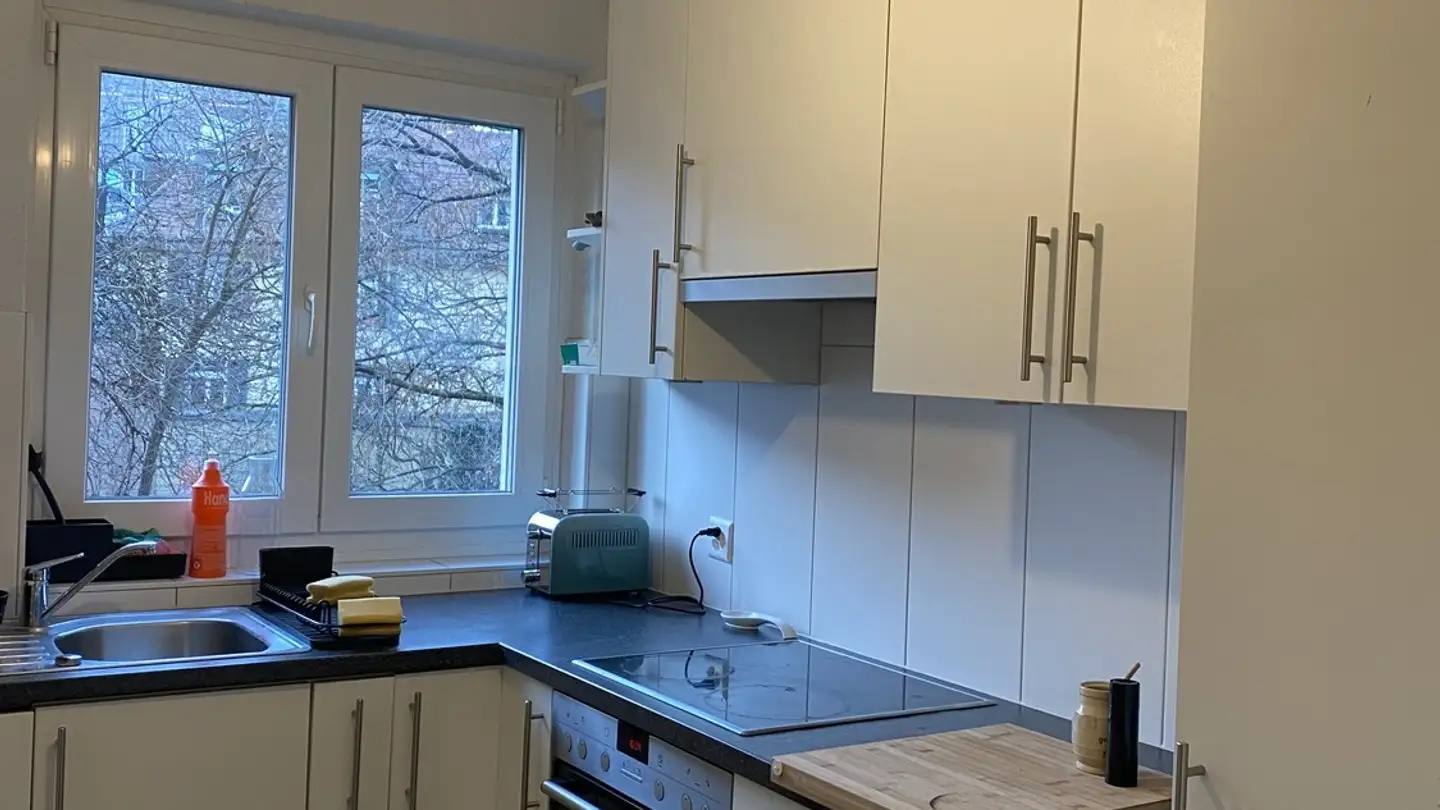 Apartment for rent - Manessestrasse 64, 8003 Zürich - Photo 3