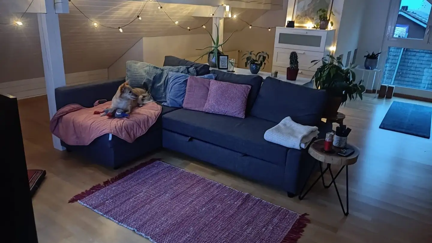 Appartamento in affitto - Holderbachweg 21a, 8046 Zürich