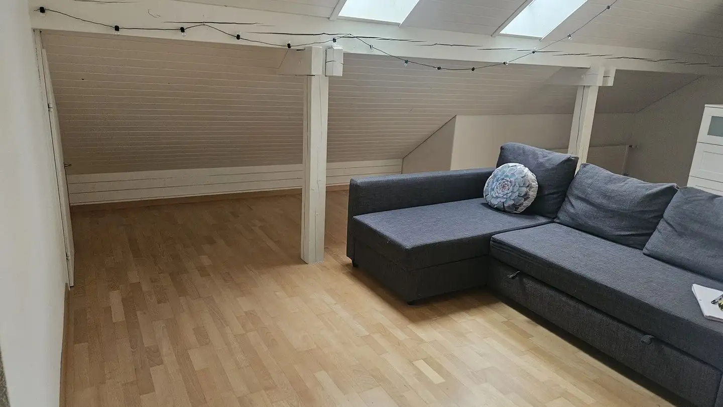 Appartamento in affitto - Holderbachweg 21a, 8046 Zürich - Foto 4