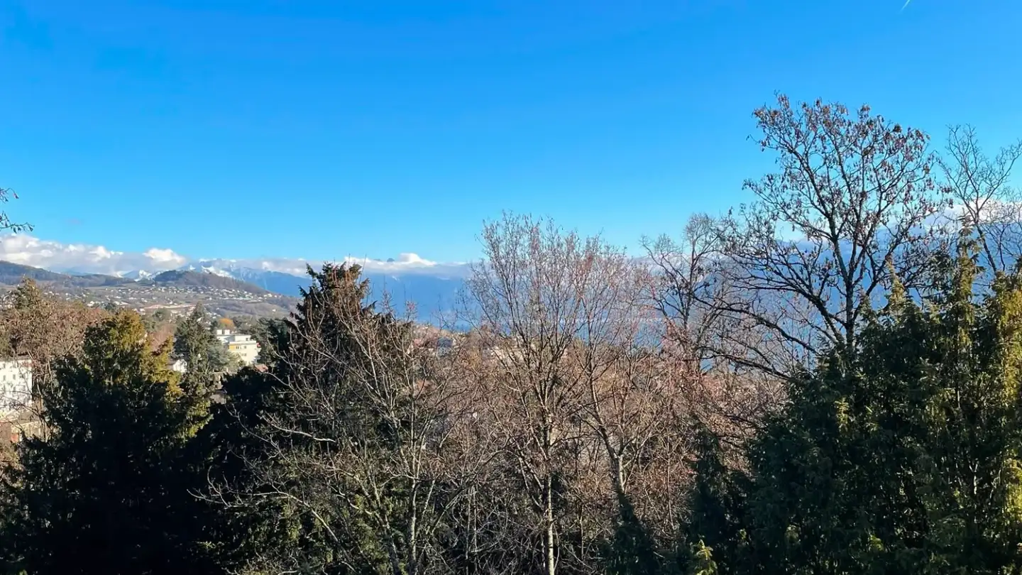 Appartement à louer - Avenue De Béthusy 54b, 1012 Lausanne - Photo 3