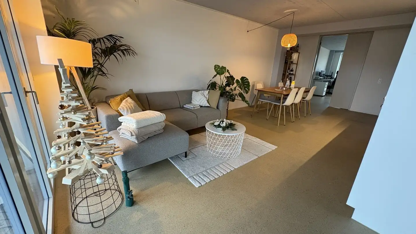 Appartamento ammobiliato in affitto - 8400 Winterthur - Foto 2