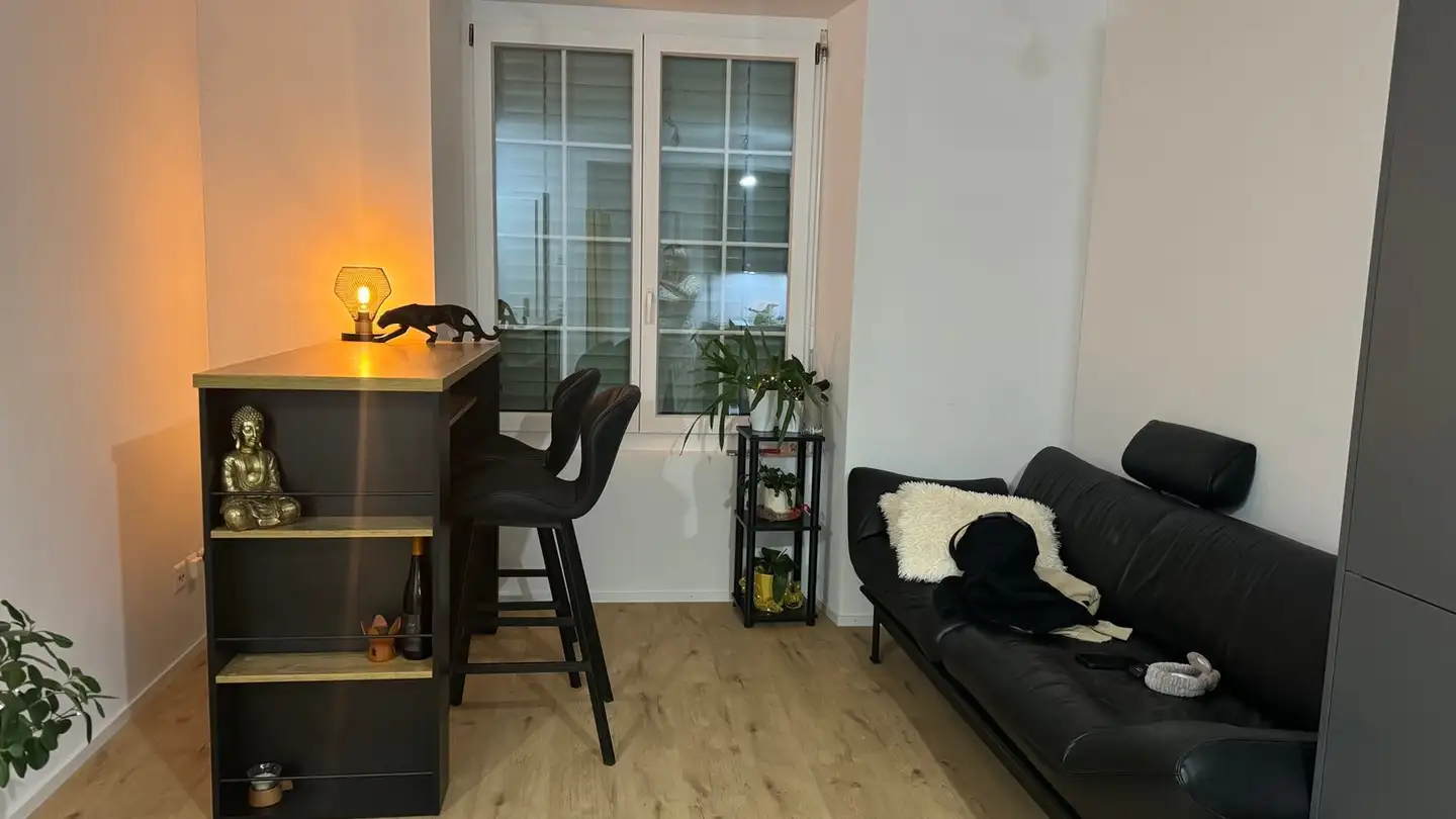 Appartamento in affitto - Hauptstrasse 9, 8253 Diessenhofen - Foto 4