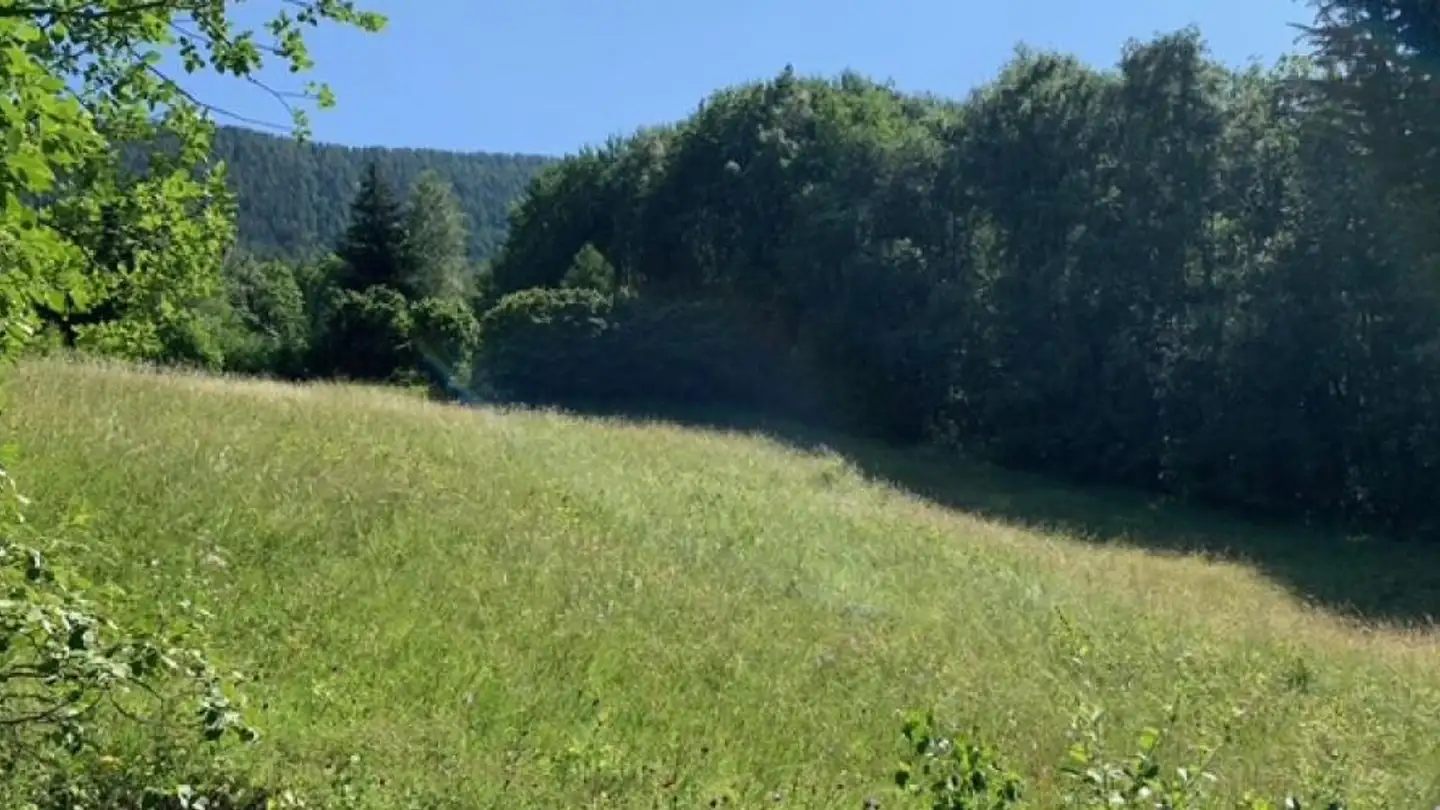 Terrain constructible à vendre - 1907 Saxon - Photo 2