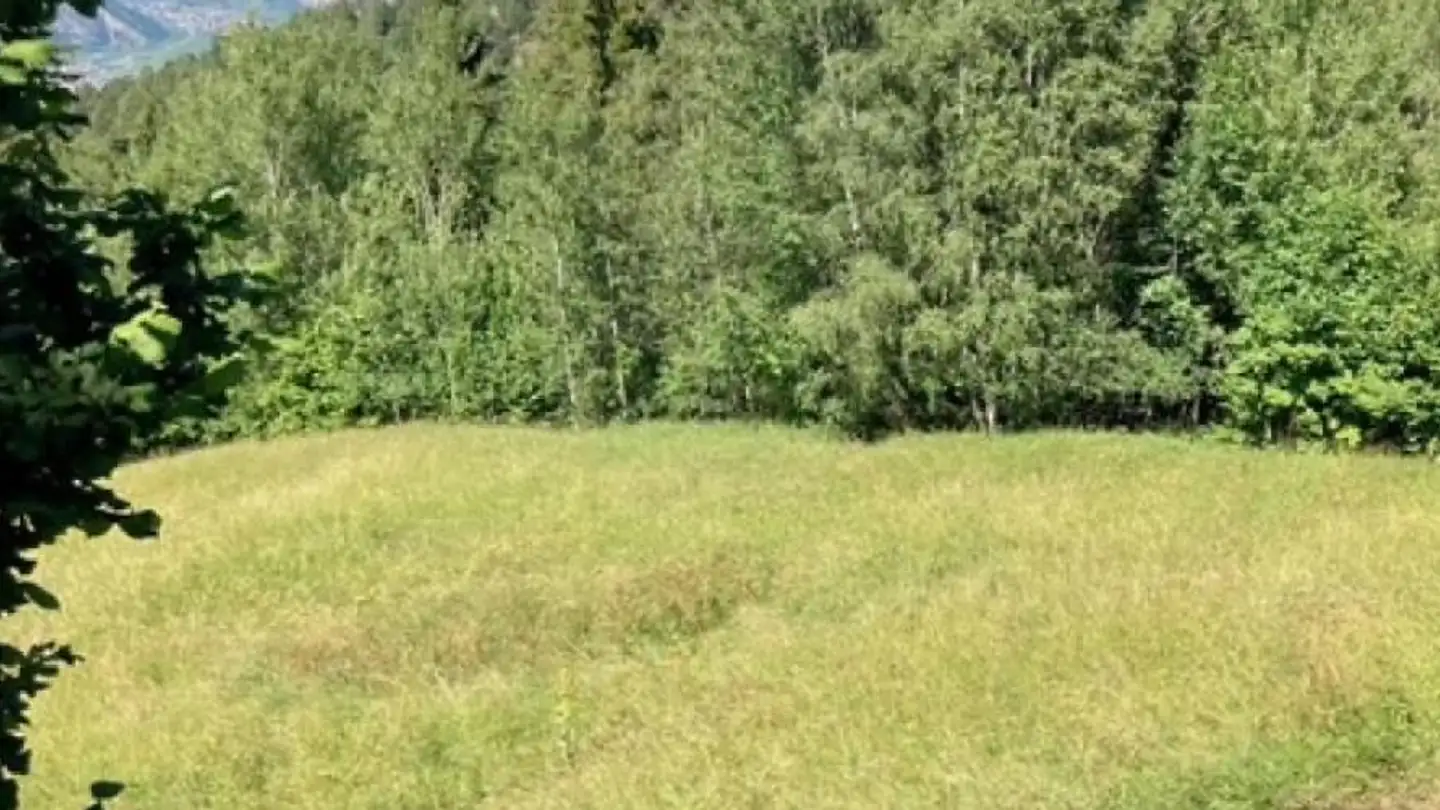 Terrain constructible à vendre - 1907 Saxon - Photo 3