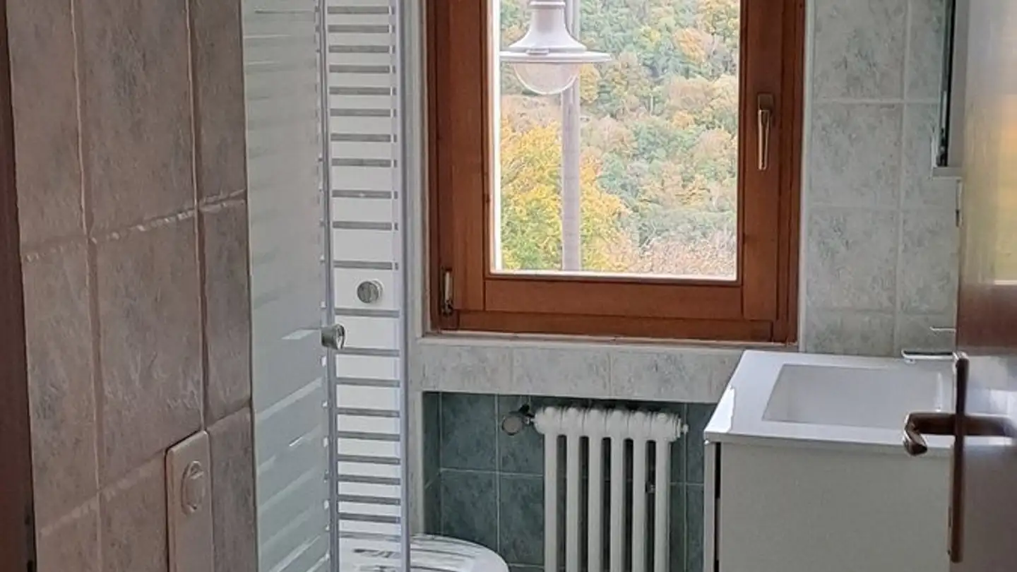 Wohnung mieten - Miera Nucleo, 6957 Roveredo TI - Foto 3