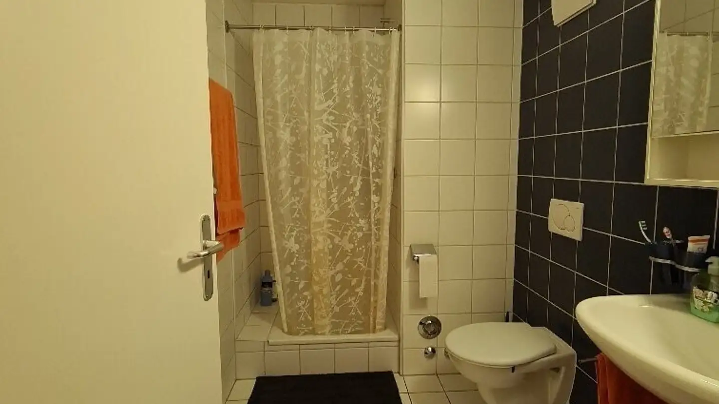 Duplex for rent - Avenue Du Silo, 1020 Renens VD - Photo 4