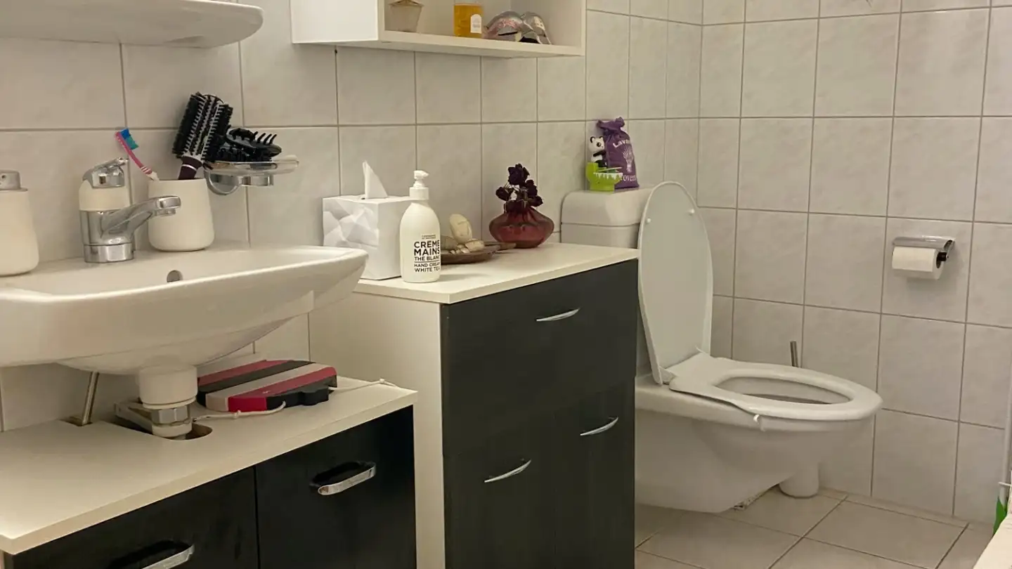 Single room for rent - Chemin Du Plan-Bourdin, 1806 St-Légier-La Chiésaz - Photo 4