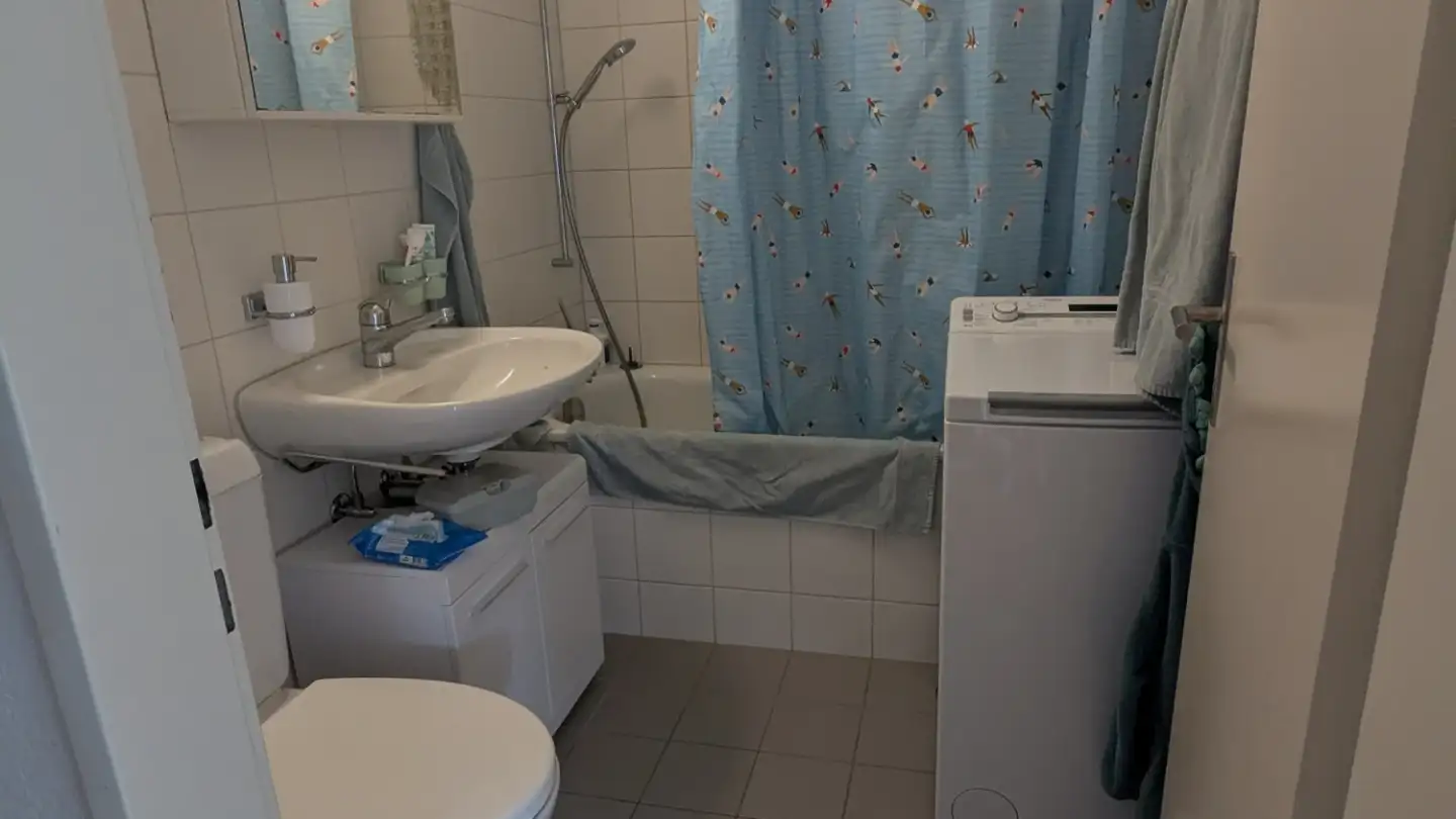 Appartamento in affitto - Wiesenstrasse, 5400 Baden - Foto 4