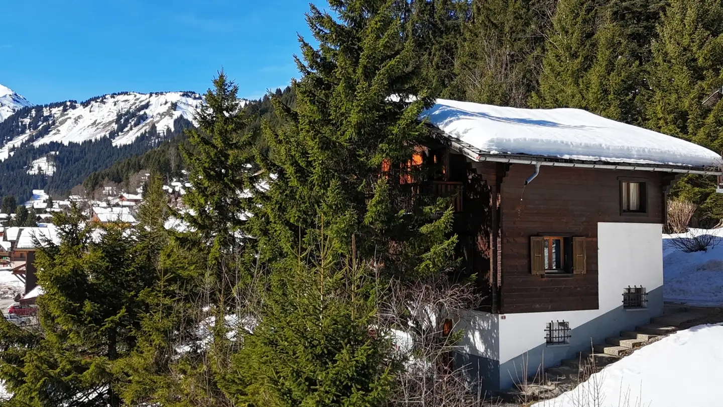 Maison individuelle à vendre - 1875 Morgins - Photo 3