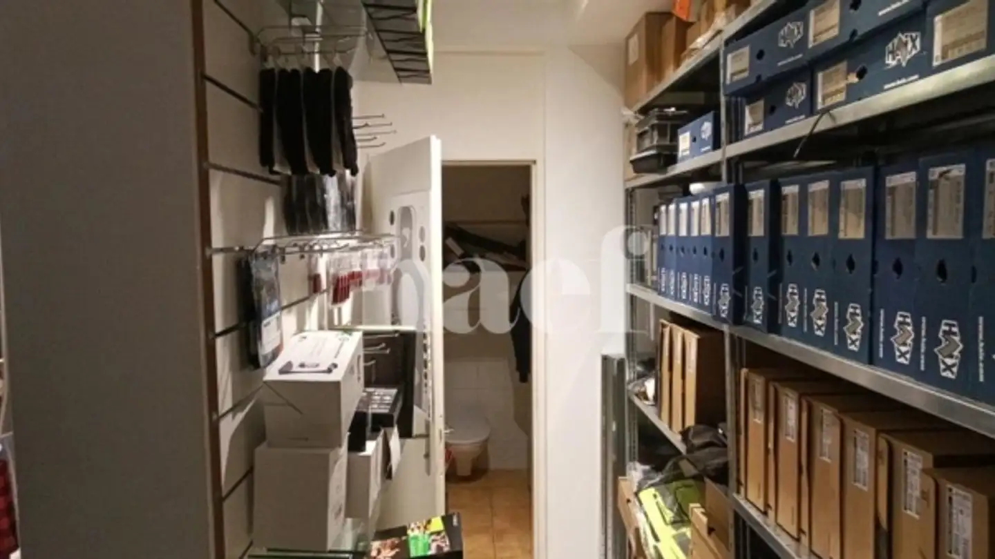 Negozio in affitto - Rue Des Caroubiers 15, 1227 Carouge GE