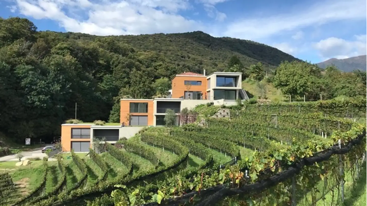 Appartamento in affitto - 6984 Pura