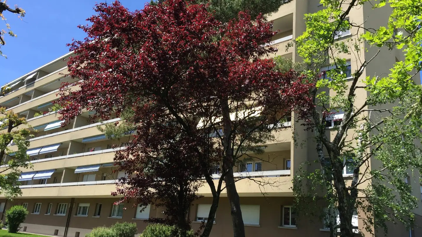 Appartement à louer - Route Du Stand 23, 1260 Nyon