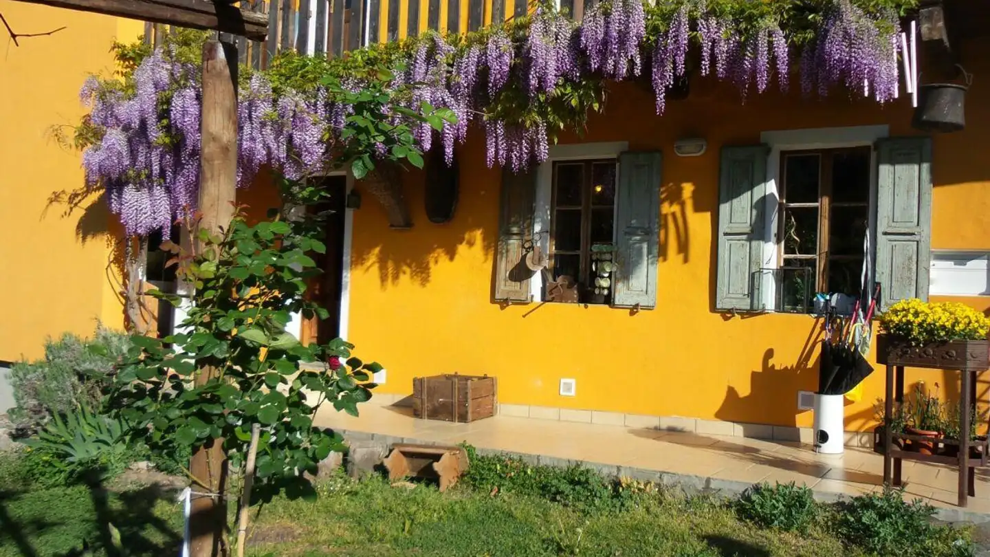 Appartement meublé à vendre - Via Monteggio, 6998 Monteggio - Photo 3