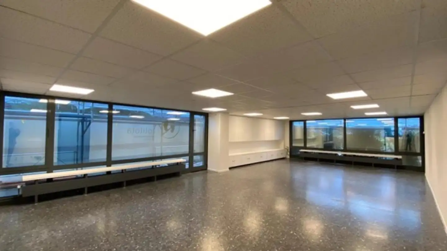 Magasin à louer - Chemin du Champ-d'Anier 5, 1209 Genève - Photo 2