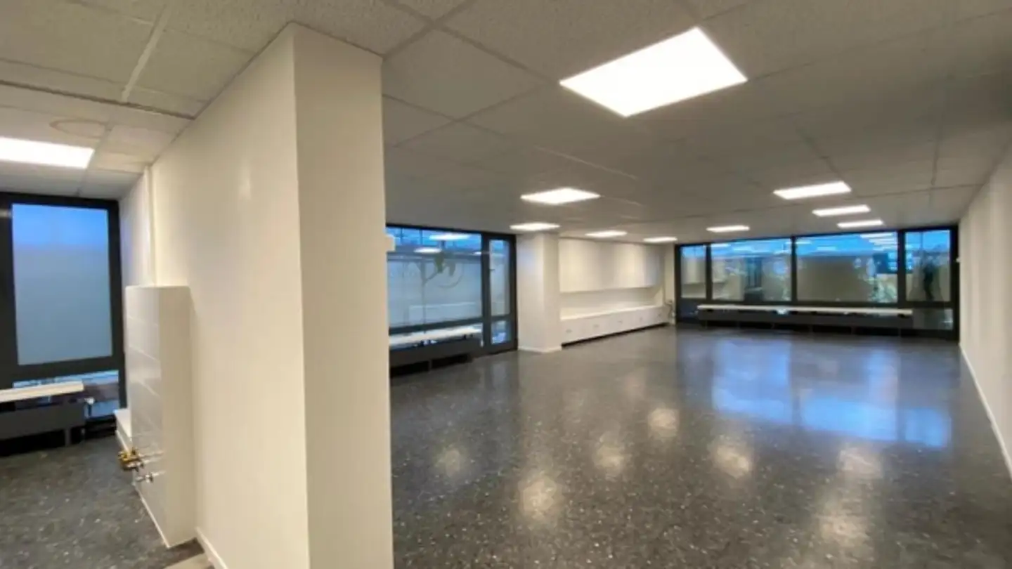 Magasin à louer - Chemin du Champ-d'Anier 5, 1209 Genève - Photo 4