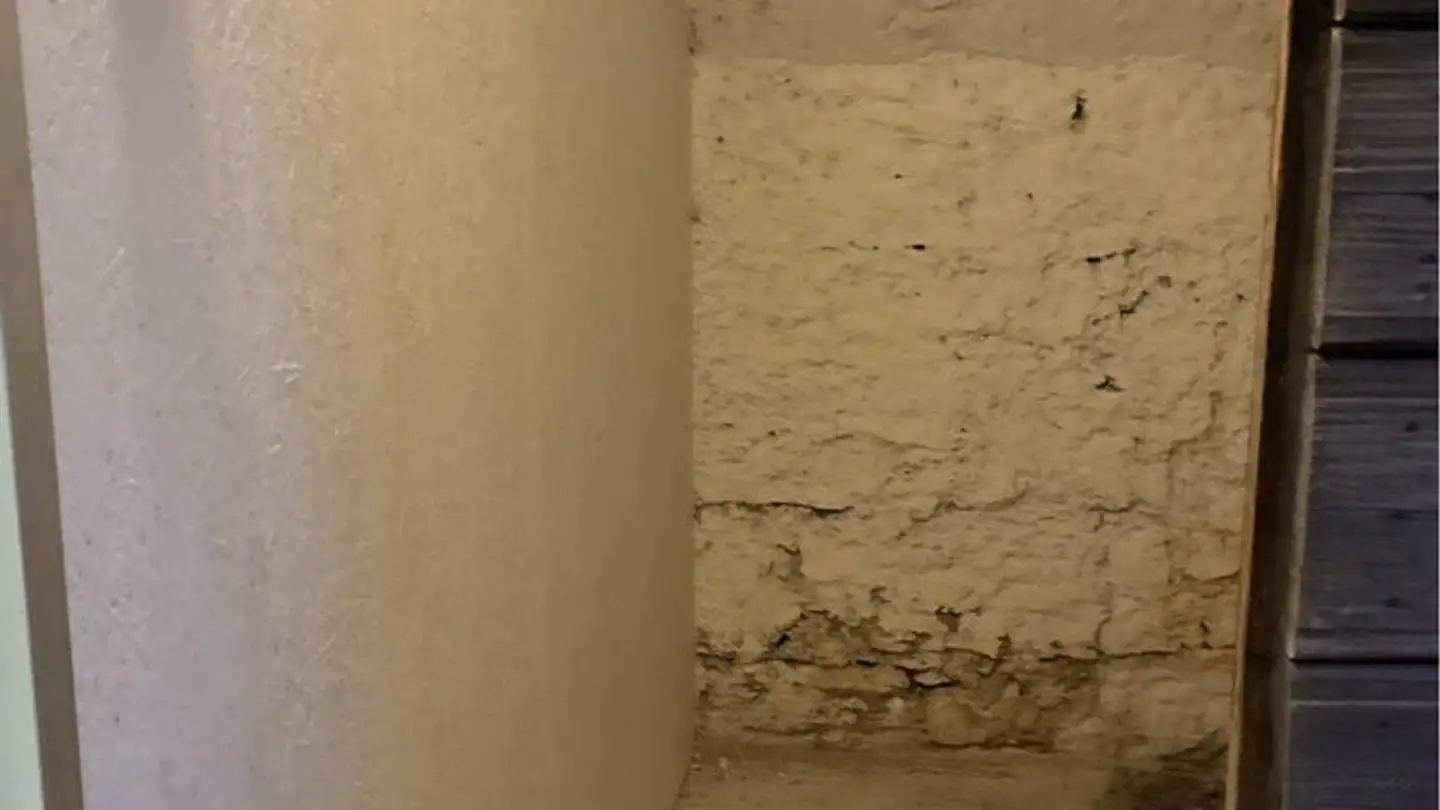 Wohnung mieten - Moosgasse 11, 3274 Hermrigen - Foto 4